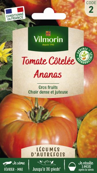 Kit de jardinage - Kit semis de tomates + 12 étiquettes de marquage offertes - MEDIA_EN_SITUATION_2